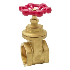 Brass 2-1/2-in FIP x 2-1/2-in FIP Heavy Duty Gate Valve