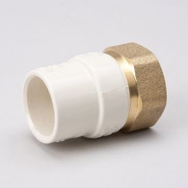 CPVC 1/2-in SOLV x 1/2-in FIP Brass Transition Adapter