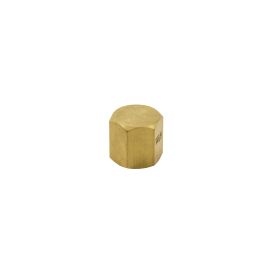 Brass 1/8-in FIP Cap